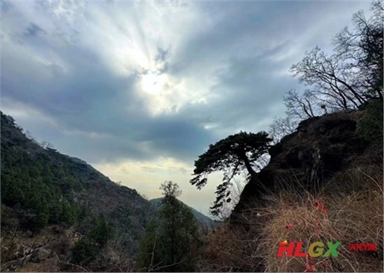 火龍節能春游泰山